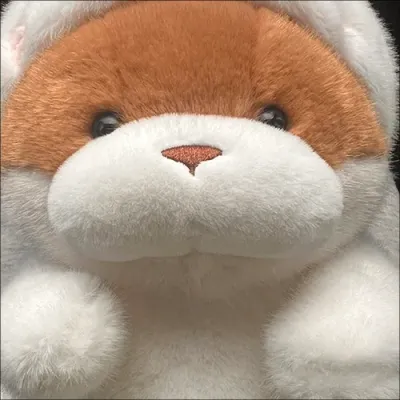 햄스터 후드 모찌 봉제인형 (인형뽑기 인기상품)
